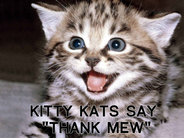 kittykats